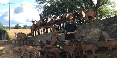 Fromages d'Aurélie